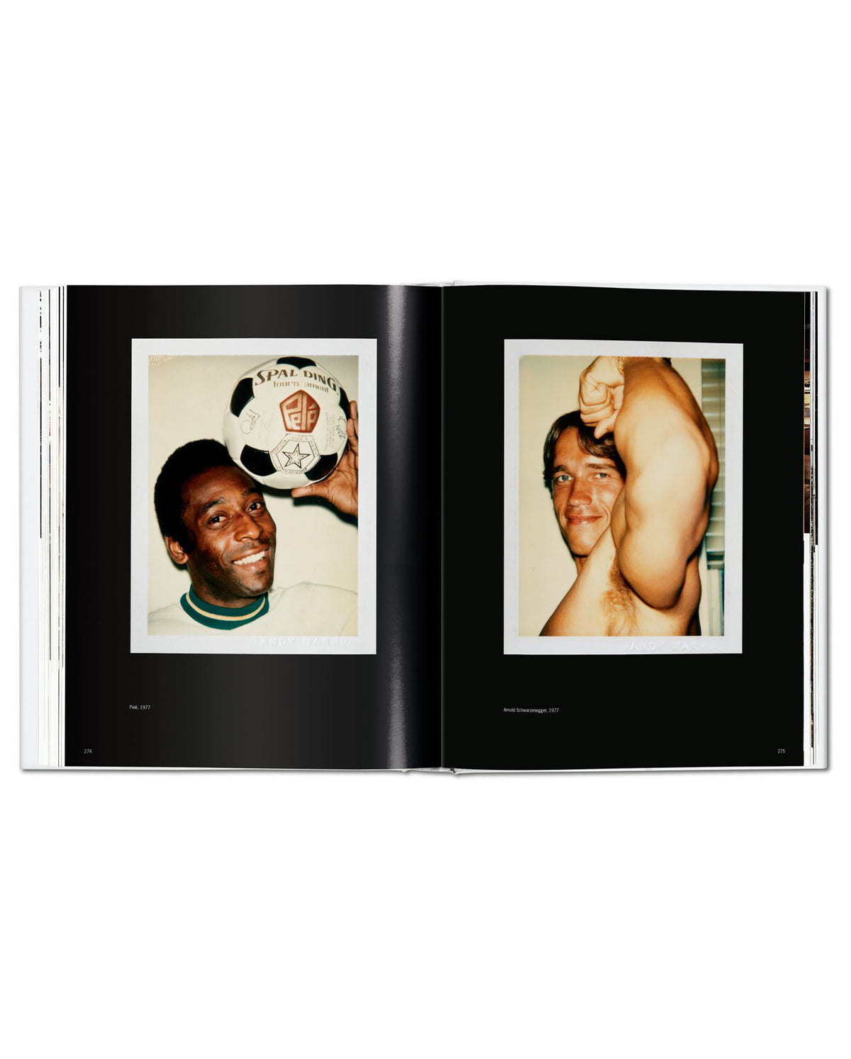 Warhol Polaroids