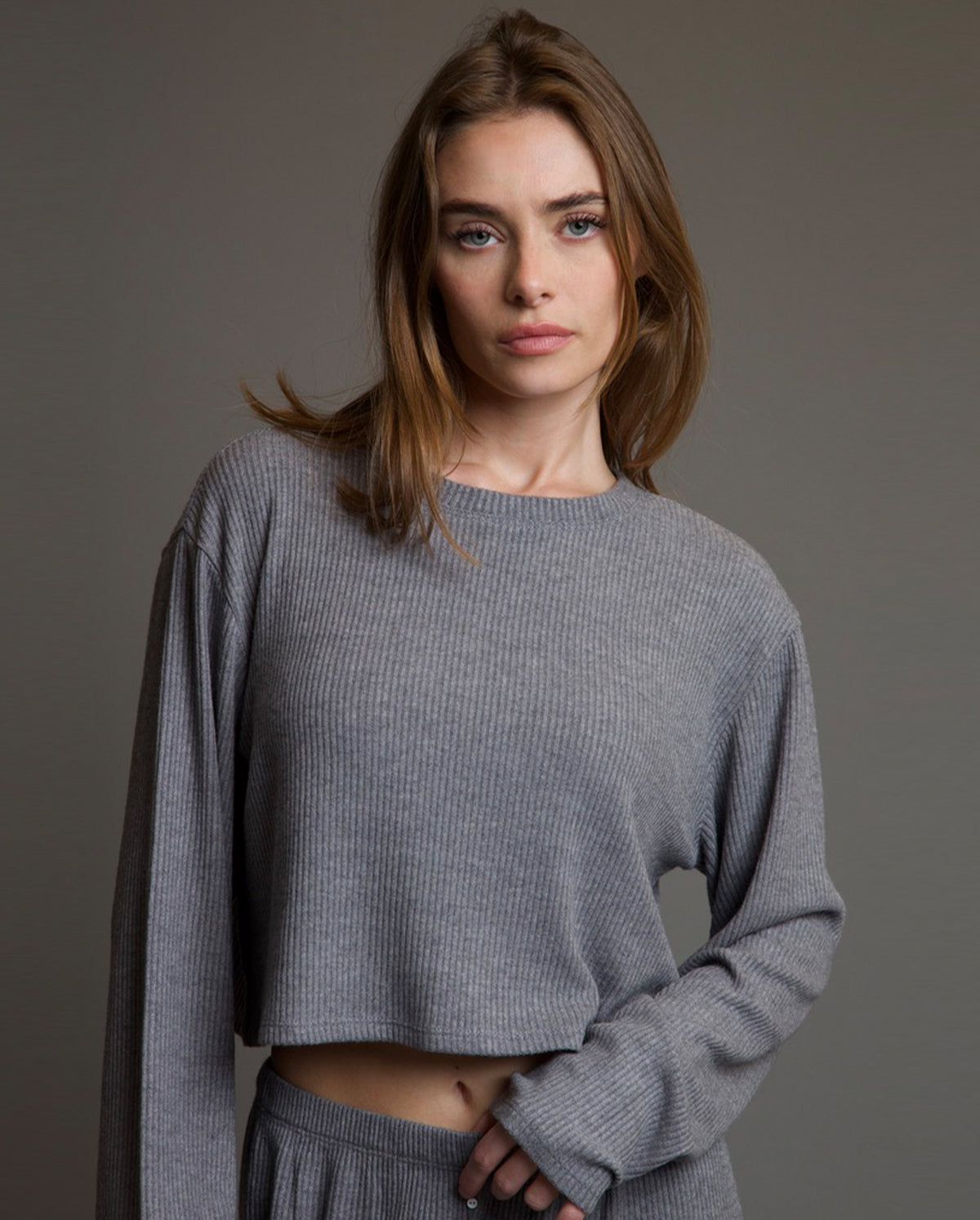 Maeve Long Sleeve Crop T-Shirt In Grey