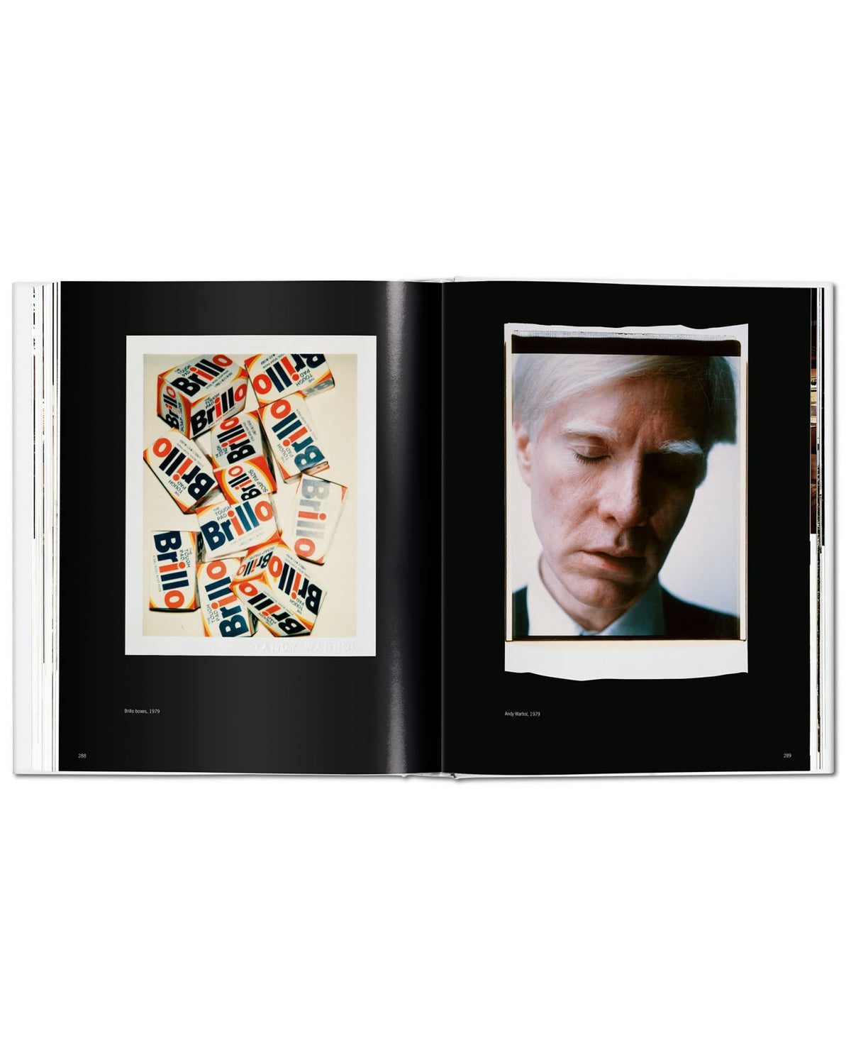 Warhol Polaroids